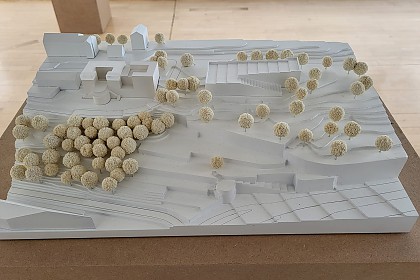 The winning model with environment model of the vineyard area