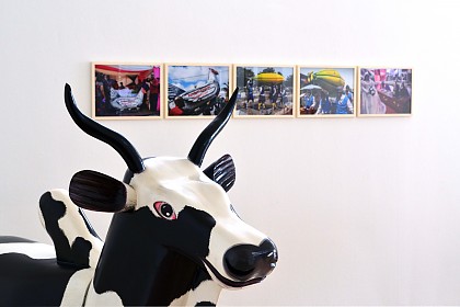 Kuh, Sarg von Paa Joe und Fotografien von Dr. Regula Tschumi