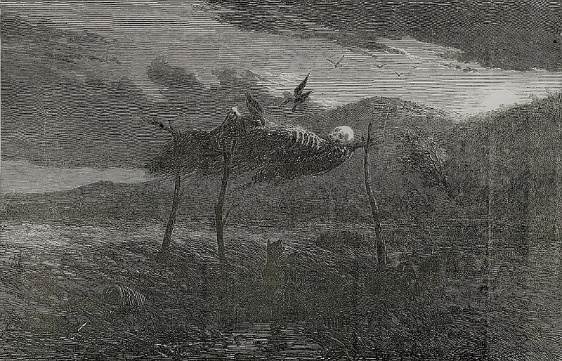 Historical representation of an Aboriginal air burial
