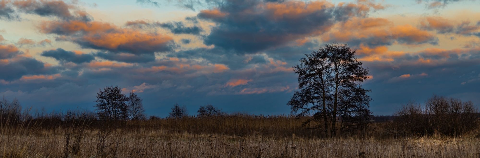 Eine Landschaft im ländlichen Raum, Abendstimmung