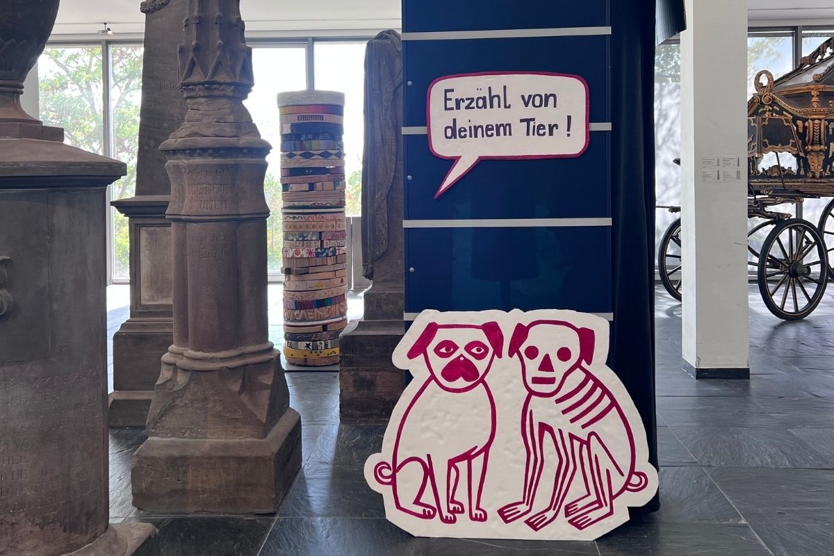 Memento-Box im Museum für sepulkralkultur in Kassel – Aufschrift: Erzähl von deinem Tier